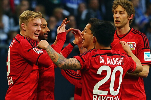 还擅长组织 还擅长组织