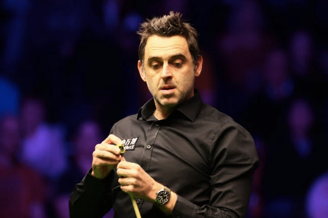 发挥特长 发挥特长