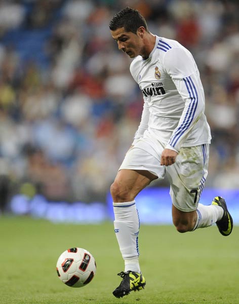 特利的稳定 特利的稳定